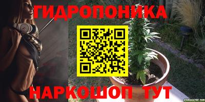 прущие грибы Ликино-Дулёво