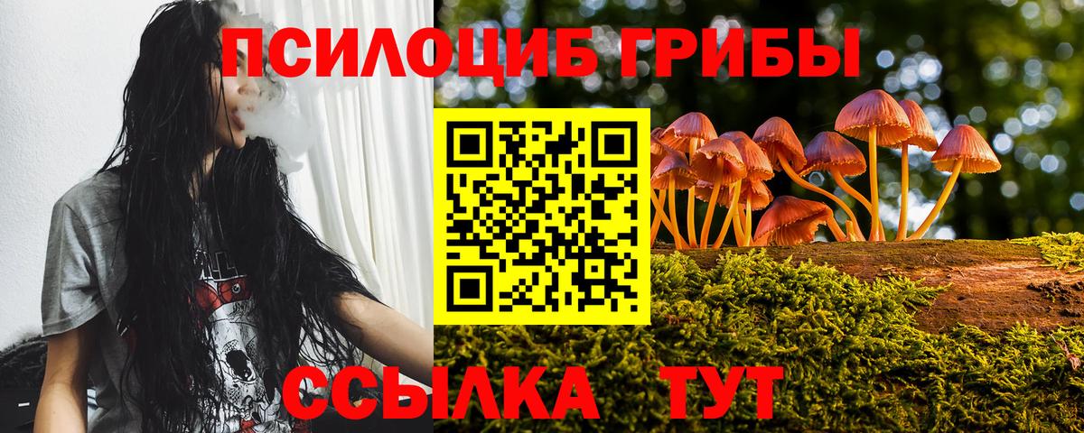 Елизово  Галлюциногенные грибы мицелий  Вход с VPN 